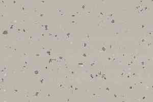 Линолеум Gerflor Taralay Premium Indiana 3788 Nauru фото  | FLOORDEALER